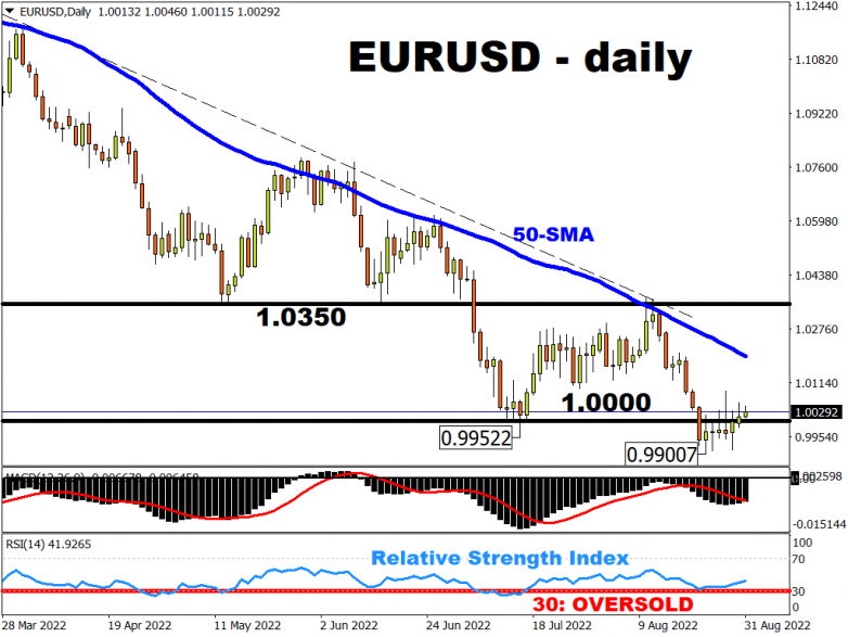 ECB hawks stem Euro losses as record CPI looms