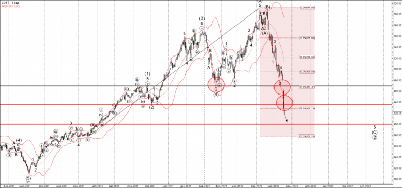 Costco Wave Analysis – 19 May, 2022