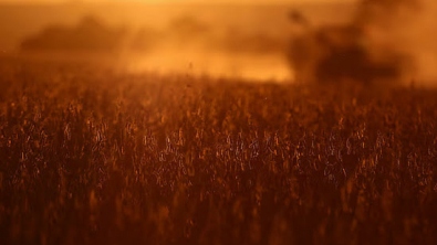 China Imports no US Soybeans for 2nd mth, Brazil Arrivals Up 29%