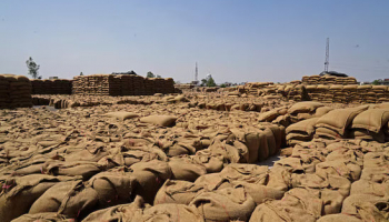 World Food Price Rise Set to Continue if Iran War Lasts, FAO