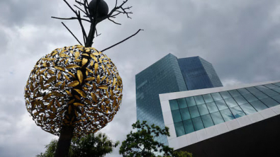 ECB Sells some Dollar Assets, Cuts Weight of Dollar in Reserves