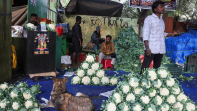 India to Revise Base Year for CPI, GDP, Industrial Output Data every 3-5 yrs, Official