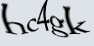 img-captcha