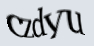 img-captcha