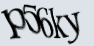 img-captcha