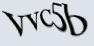 img-captcha